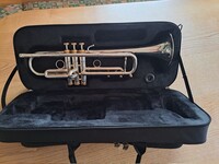 Stomvi VRII V-Reptor II 5360,