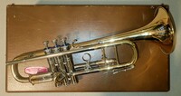 Hüttl Golden Colibri B-Trompete Largebore